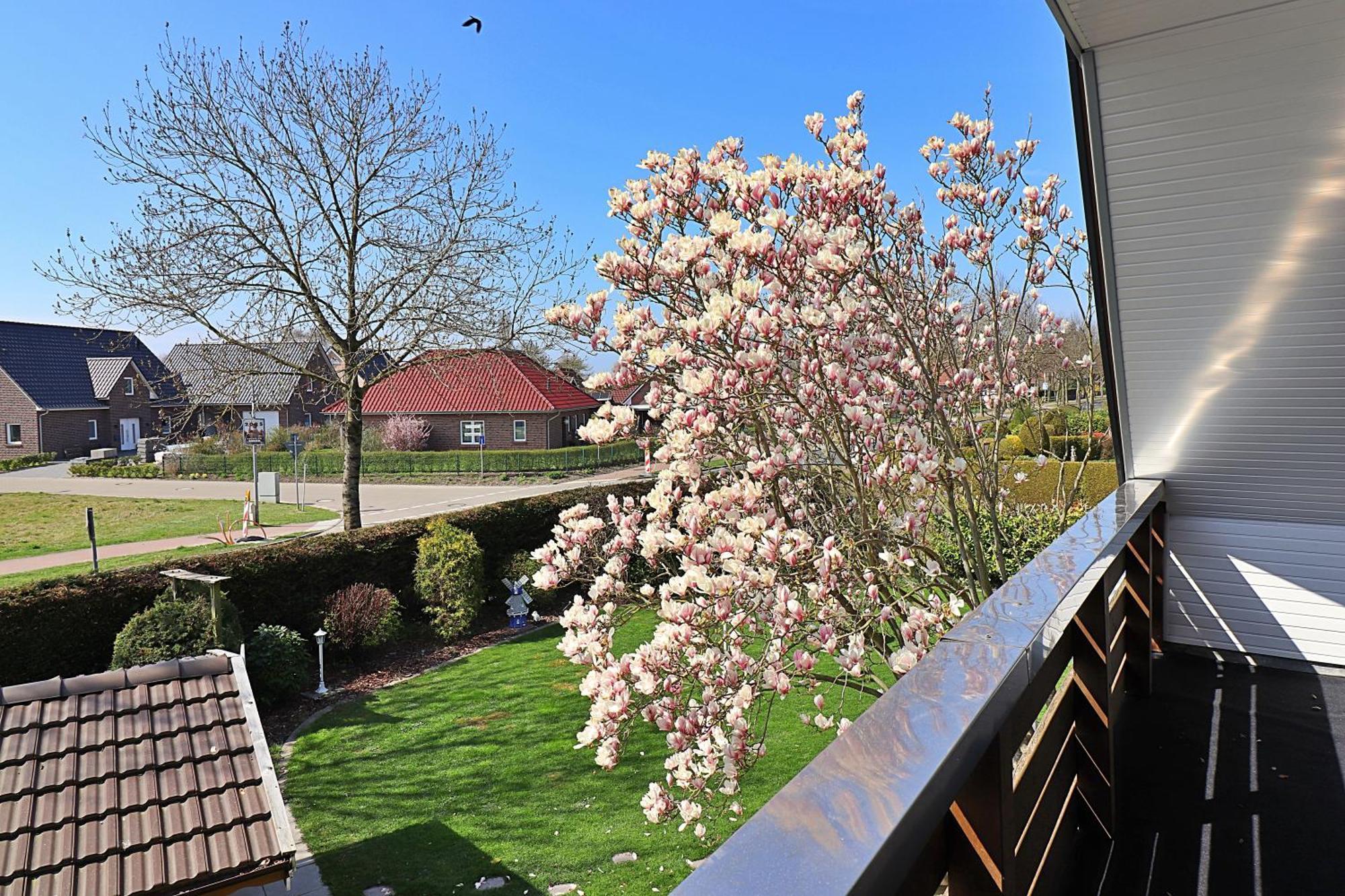 Ferienwohnungen "Zur Friesen Freude" - Nur Fuer Feriengaeste Dornum Esterno foto