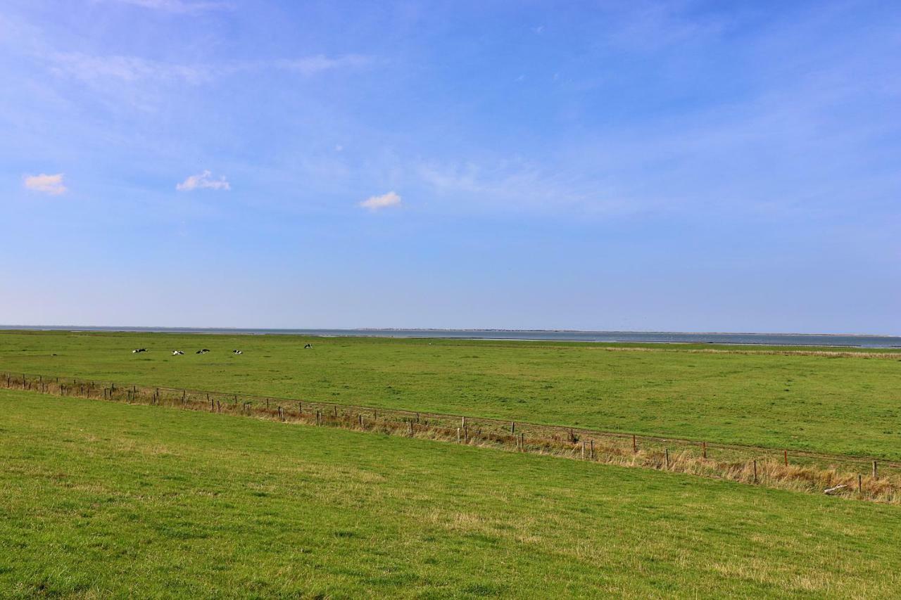 Ferienwohnungen "Zur Friesen Freude" - Nur Fuer Feriengaeste Dornum Esterno foto